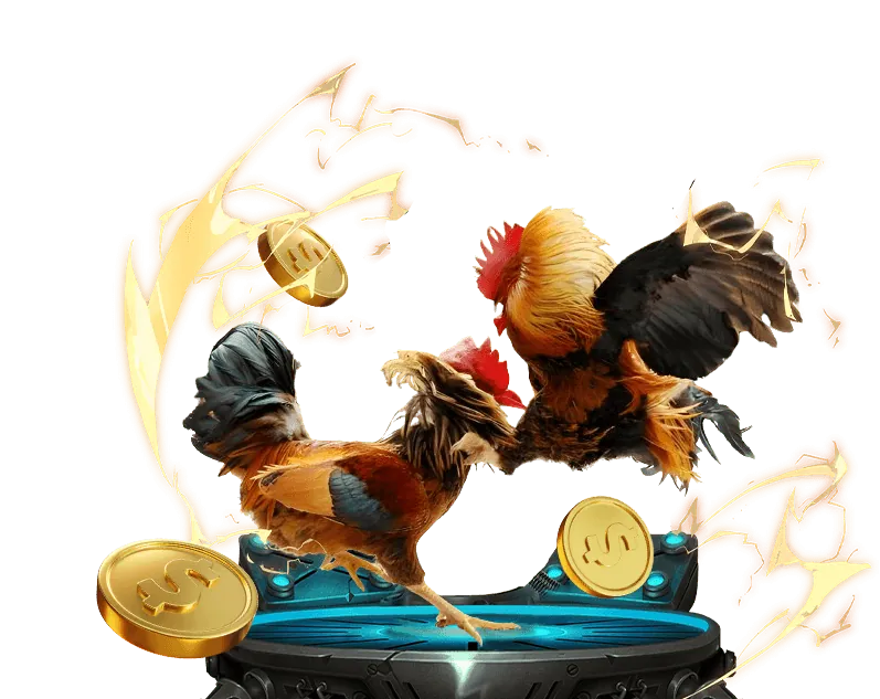 Chống gian lận 11bet